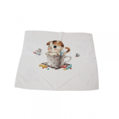 300g Double Sides Microfiber Towel