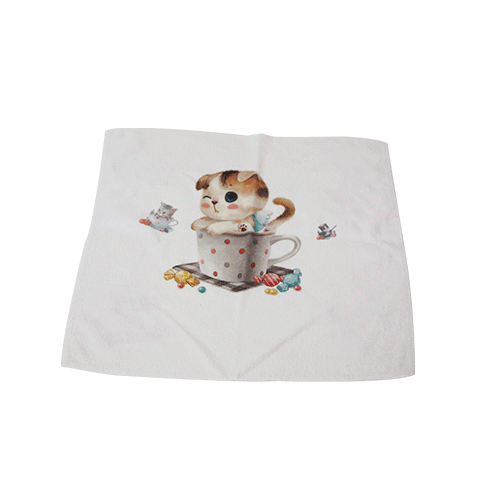 300g Double Sides Microfiber Towel