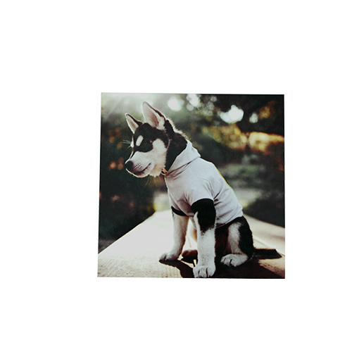 30*20CM Brush Silver Aluminium Plate