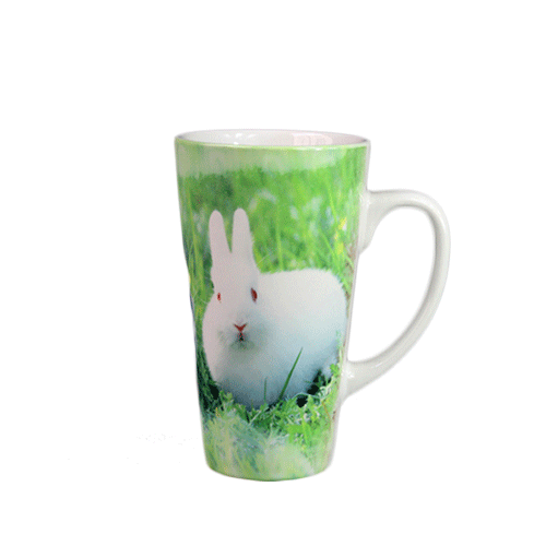 17oz Latte White Mug