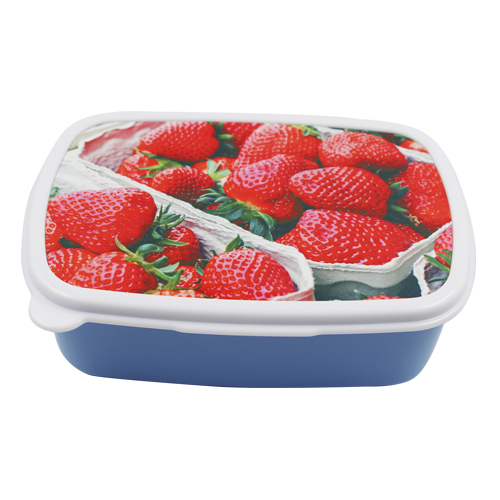Plastic Blue Lunch Box