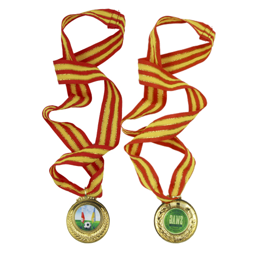 6cm Gold Badge