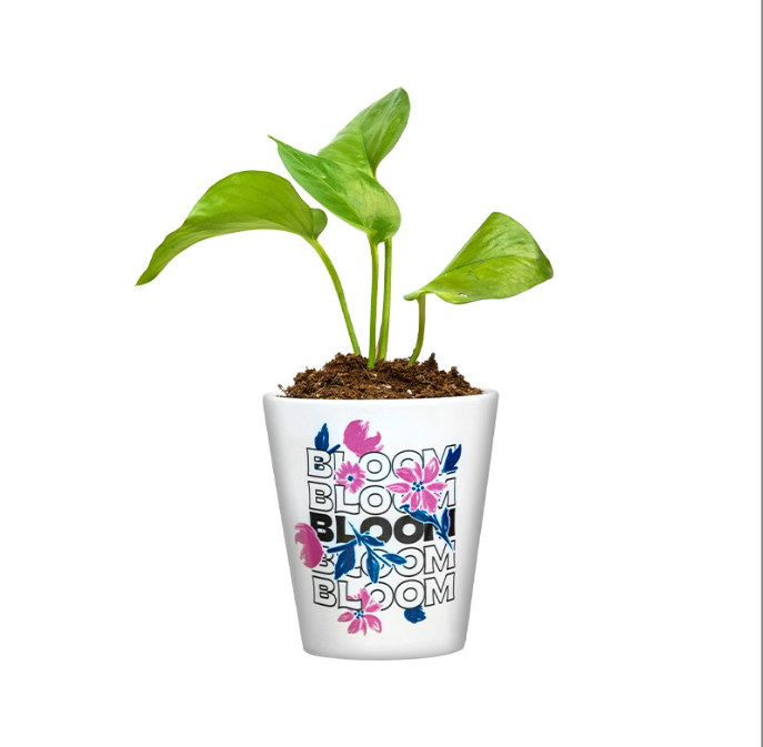 Sublimation Blank Ceramic Flowerpot